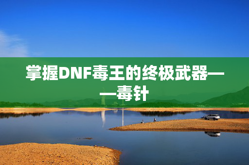 掌握DNF毒王的终极武器——毒针