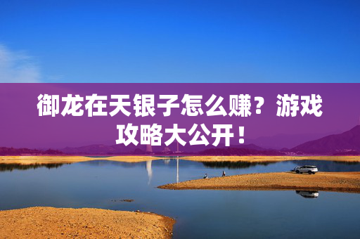 御龙在天银子怎么赚？游戏攻略大公开！