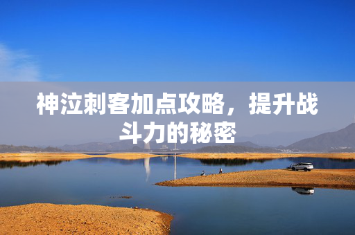 神泣刺客加点攻略，提升战斗力的秘密