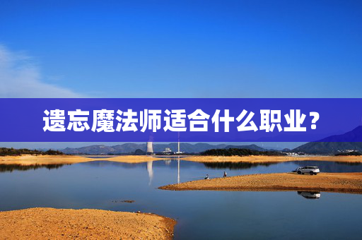 遗忘魔法师适合什么职业？