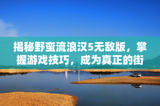 揭秘野蛮流浪汉5无敌版，掌握游戏技巧，成为真正的街头霸主