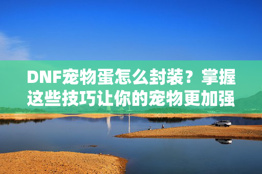DNF宠物蛋怎么封装？掌握这些技巧让你的宠物更加强大！