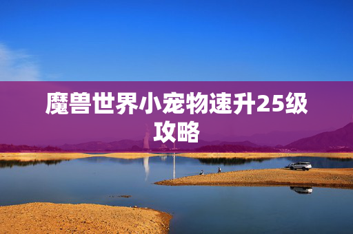 魔兽世界小宠物速升25级攻略