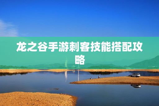 龙之谷手游刺客技能搭配攻略