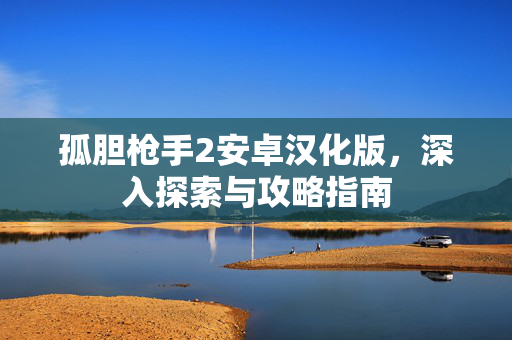 孤胆枪手2安卓汉化版，深入探索与攻略指南