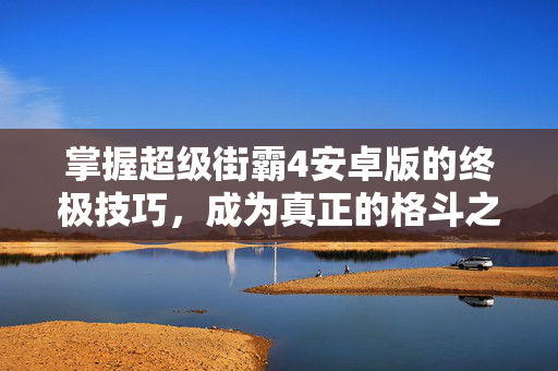 掌握超级街霸4安卓版的终极技巧，成为真正的格斗之王！