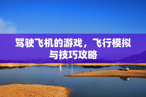 驾驶飞机的游戏，飞行模拟与技巧攻略