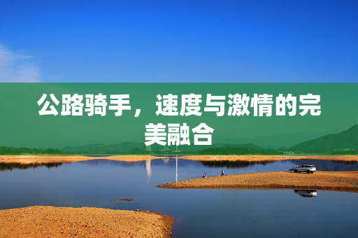 公路骑手，速度与激情的完美融合