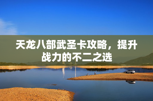 天龙八部武圣卡攻略，提升战力的不二之选