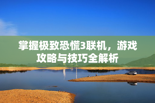 掌握极致恐慌3联机，游戏攻略与技巧全解析