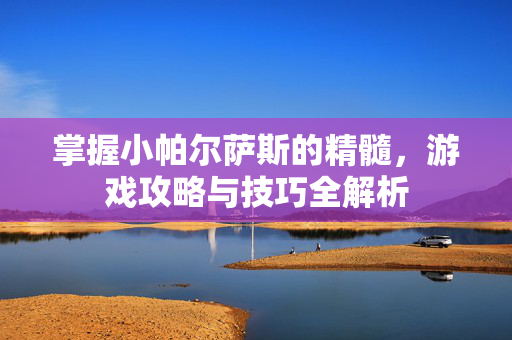 掌握小帕尔萨斯的精髓，游戏攻略与技巧全解析