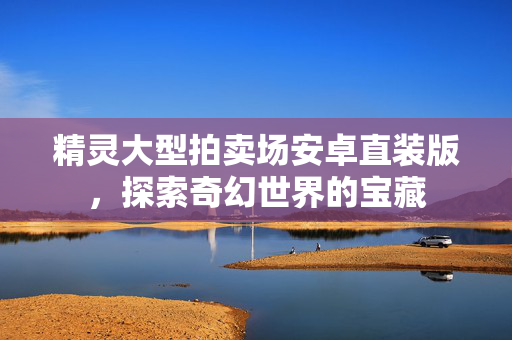 精灵大型拍卖场安卓直装版，探索奇幻世界的宝藏