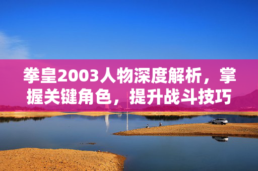 拳皇2003人物深度解析，掌握关键角色，提升战斗技巧