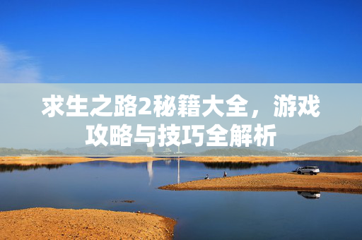 求生之路2秘籍大全，游戏攻略与技巧全解析