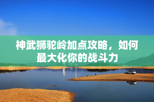 神武狮驼岭加点攻略，如何最大化你的战斗力