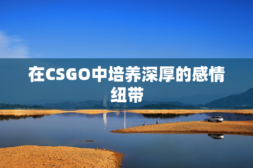 在CSGO中培养深厚的感情纽带