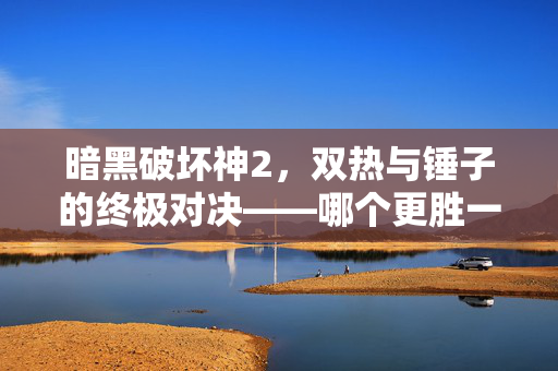 暗黑破坏神2，双热与锤子的终极对决——哪个更胜一筹？