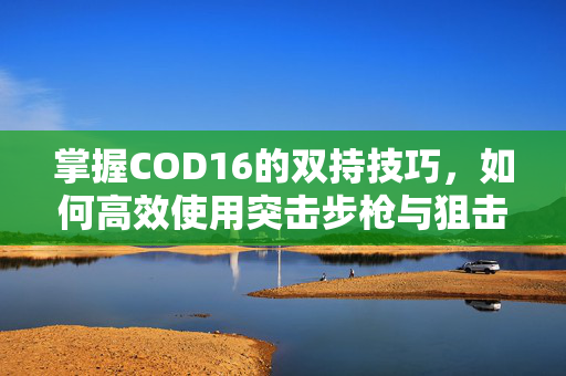 掌握COD16的双持技巧，如何高效使用突击步枪与狙击枪