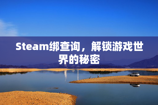 Steam绑查询，解锁游戏世界的秘密