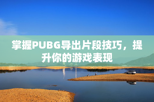 掌握PUBG导出片段技巧，提升你的游戏表现