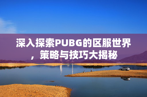 深入探索PUBG的区服世界，策略与技巧大揭秘