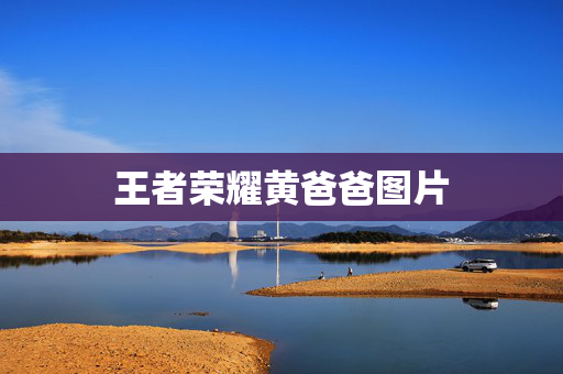 王者荣耀黄爸爸图片
