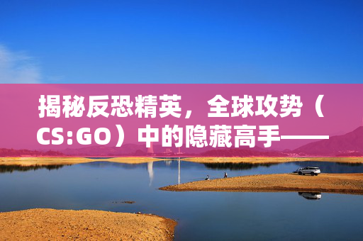 揭秘反恐精英，全球攻势（CS:GO）中的隐藏高手——阿珍