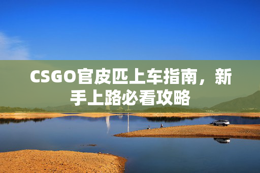 CSGO官皮匹上车指南，新手上路必看攻略