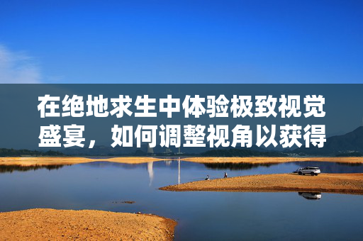 在绝地求生中体验极致视觉盛宴，如何调整视角以获得最佳游戏体验