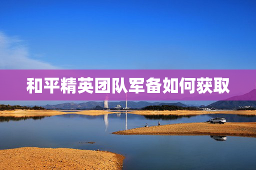 和平精英团队军备如何获取