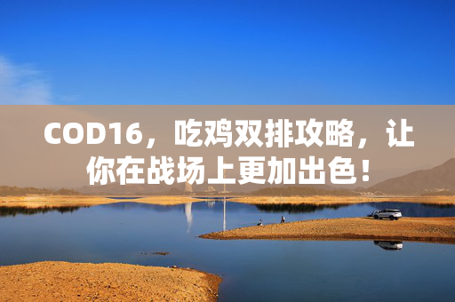 COD16，吃鸡双排攻略，让你在战场上更加出色！
