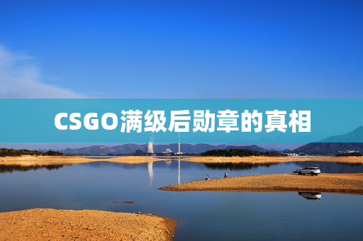 CSGO满级后勋章的真相