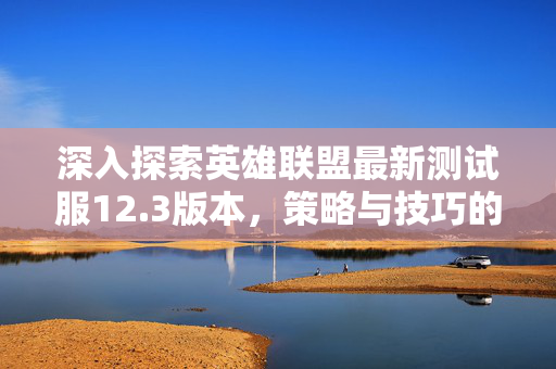 深入探索英雄联盟最新测试服12.3版本，策略与技巧的完美结合