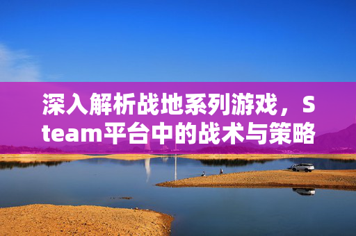 深入解析战地系列游戏，Steam平台中的战术与策略