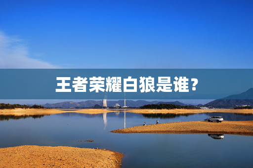 王者荣耀白狼是谁？