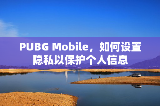 PUBG Mobile，如何设置隐私以保护个人信息