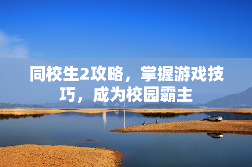 同校生2攻略，掌握游戏技巧，成为校园霸主