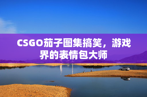CSGO茄子图集搞笑，游戏界的表情包大师