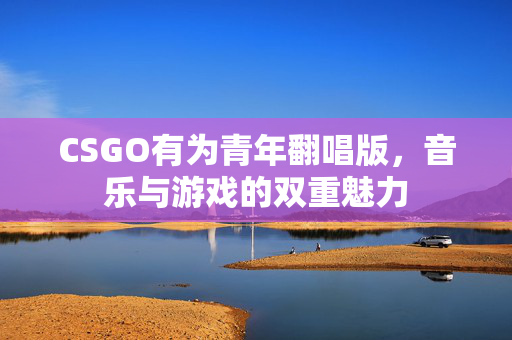 CSGO有为青年翻唱版，音乐与游戏的双重魅力