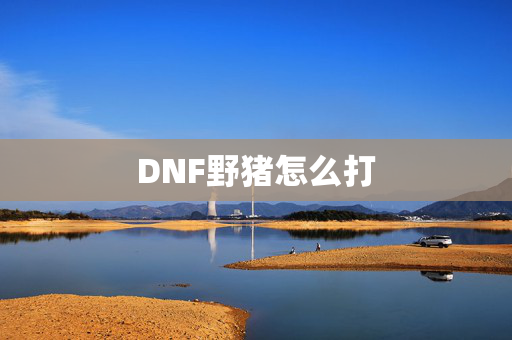 DNF野猪怎么打