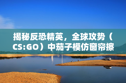 揭秘反恐精英，全球攻势（CS:GO）中茄子模仿窗帘擦嘴的趣味技巧