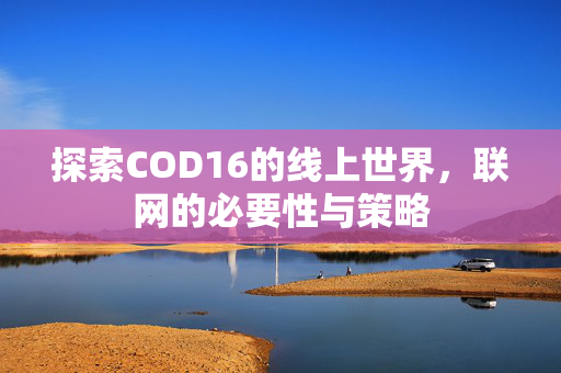 探索COD16的线上世界，联网的必要性与策略