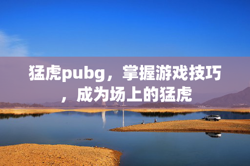 猛虎pubg，掌握游戏技巧，成为场上的猛虎