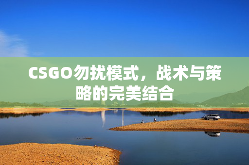 CSGO勿扰模式，战术与策略的完美结合