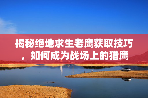 揭秘绝地求生老鹰获取技巧，如何成为战场上的猎鹰