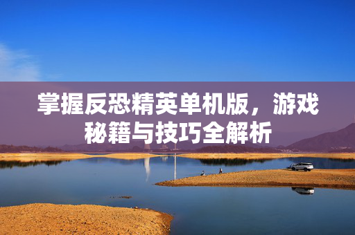 掌握反恐精英单机版，游戏秘籍与技巧全解析