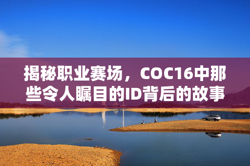 揭秘职业赛场，COC16中那些令人瞩目的ID背后的故事