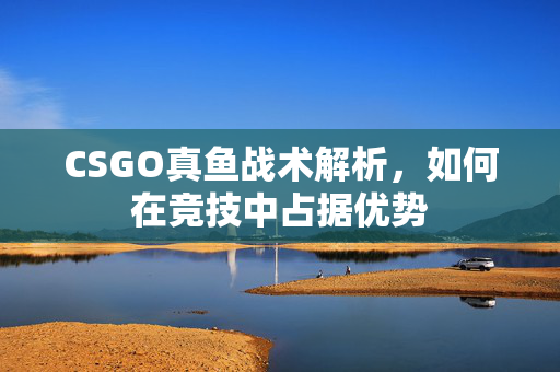 CSGO真鱼战术解析，如何在竞技中占据优势