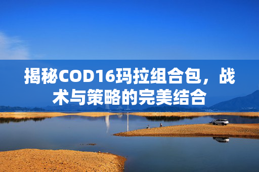 揭秘COD16玛拉组合包，战术与策略的完美结合