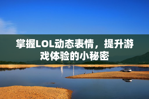 掌握LOL动态表情，提升游戏体验的小秘密